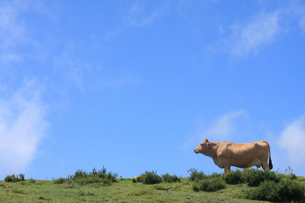 asturias